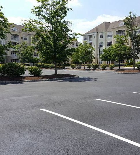 Crisp white parking stall lines on fresh asphalt